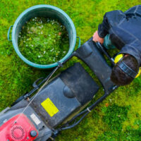 3 popular lawn equipment tools from Stihl