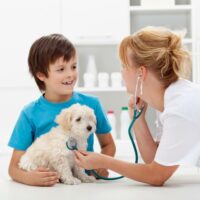 5 Ways Pet Insurance Can Be a Lifesaver