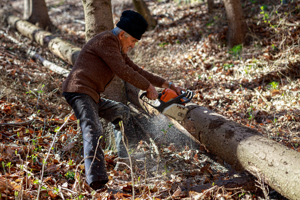 A Guide to Buying the Right Chainsaw