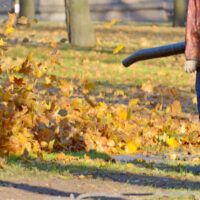 Guidelines To Select The Best Leaf Blower