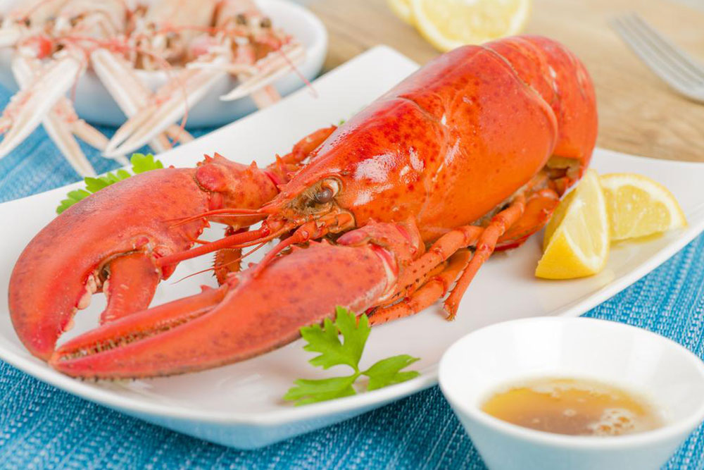 Everything you need to know about Red Lobster