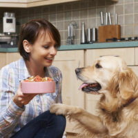 Keep your senior dog healthy with these fortified senior dog foods