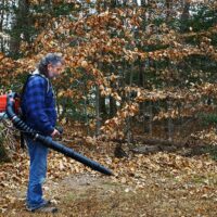 How to spot the best leaf blowers?