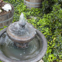 Popular types of water fountains you should know about