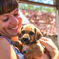 Top ten puppy-adoption centers