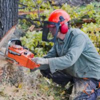 Tips to buy chainsaw for the first time