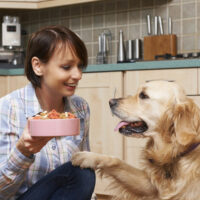 7 healthy dog food brands for your beloved pet