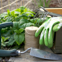 Create a beautiful garden with the right tools and accessories