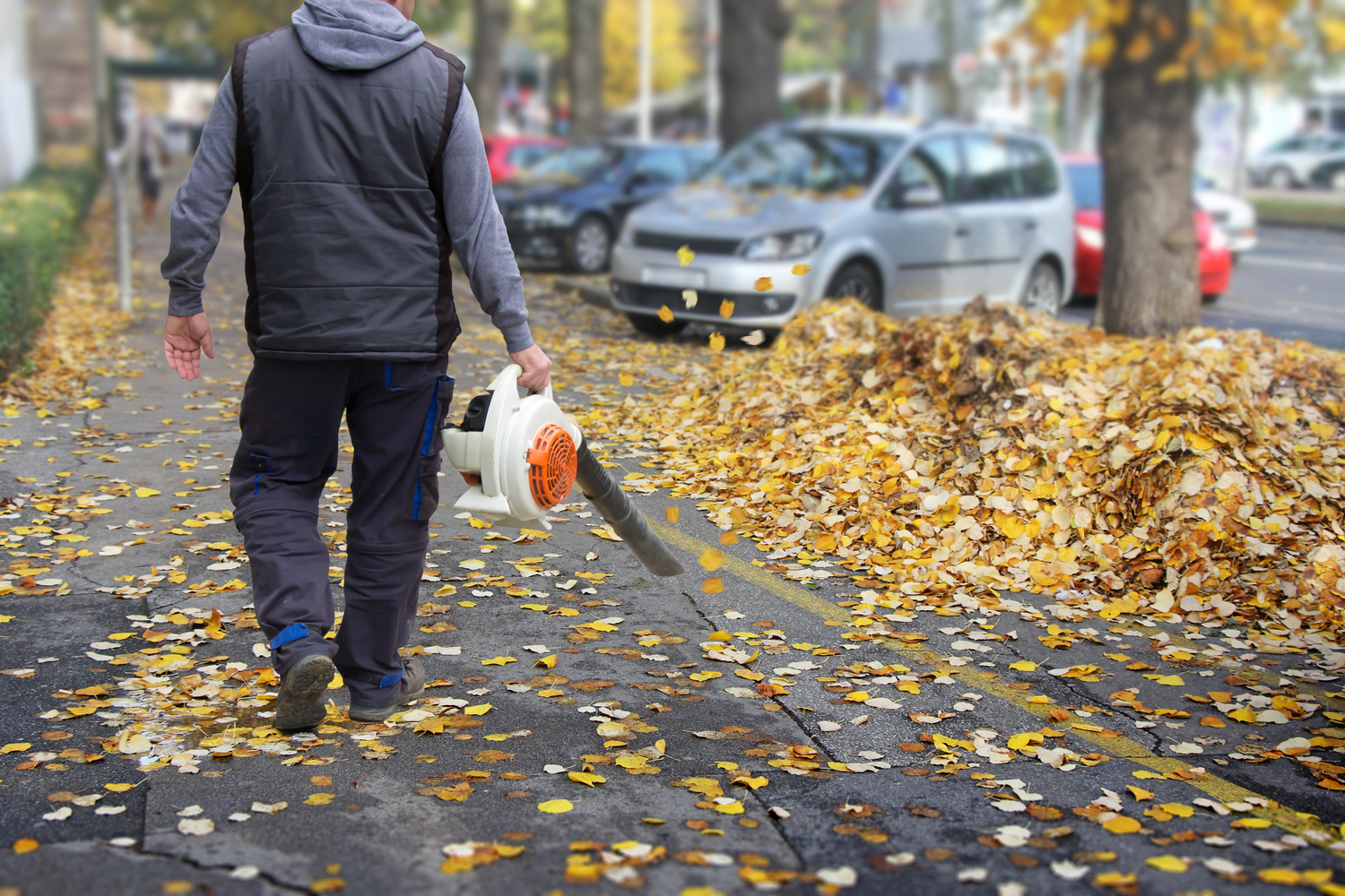 A Glance At The Best Leaf Blowers In 2018