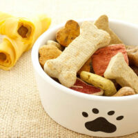 Aspects to consider while selecting the best dog food