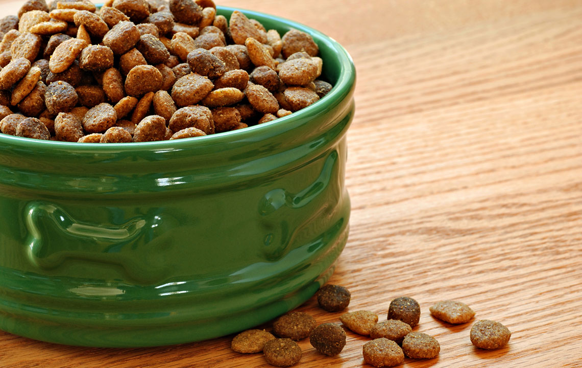 Benefits of Wet Dog Food