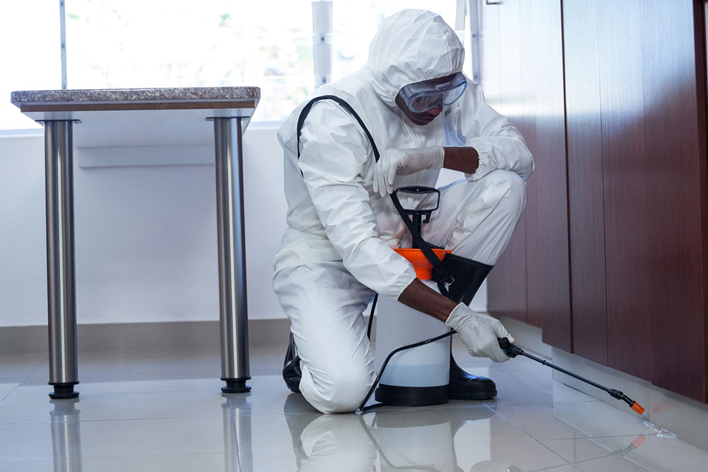 Top 3 pest control companies