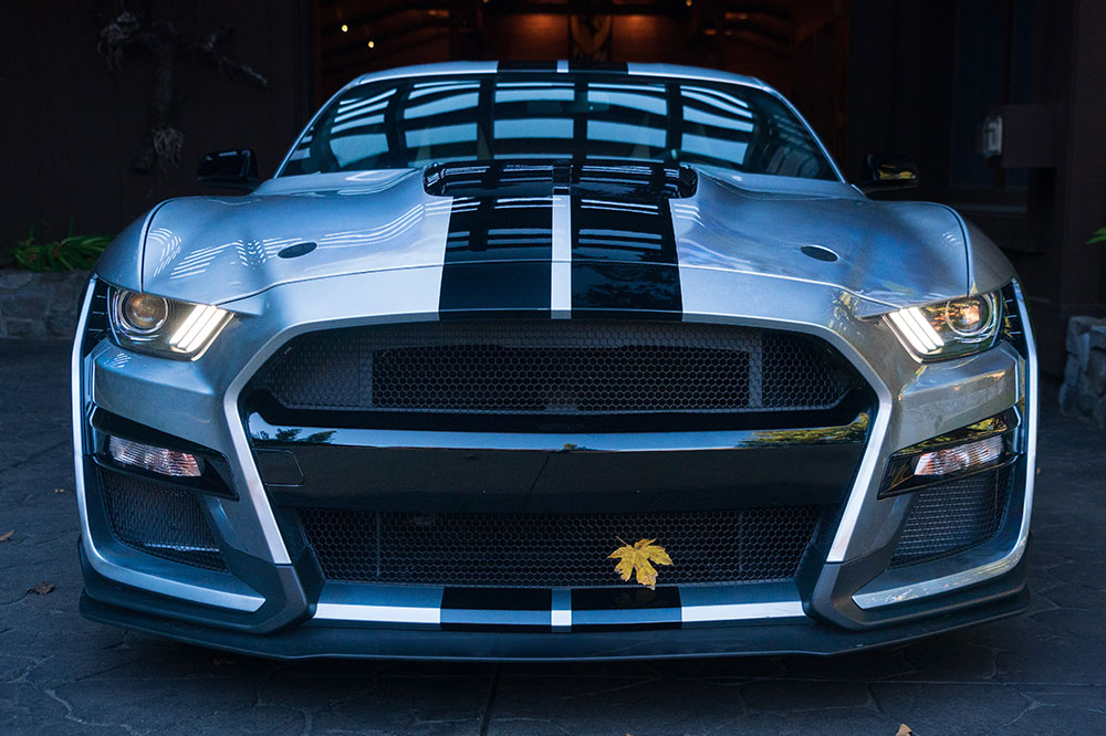 6 Reasons Why the Ford Shelby GT500 is an Iconic Car