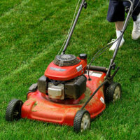 Best Lawn Mower Deals to Check Out this Cyber Monday