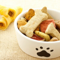 How to keep pets safe from food allergies