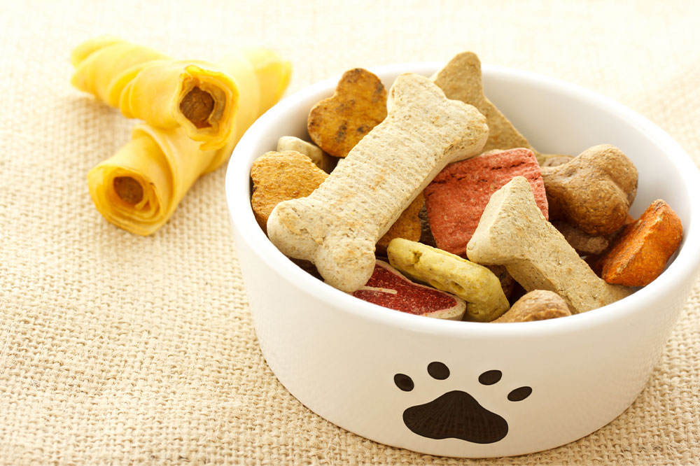 How to keep pets safe from food allergies