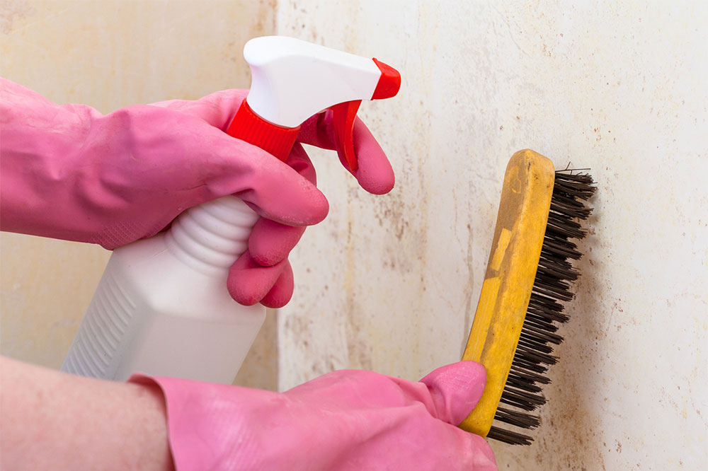 Easy Ways to Get Rid of Black Mold